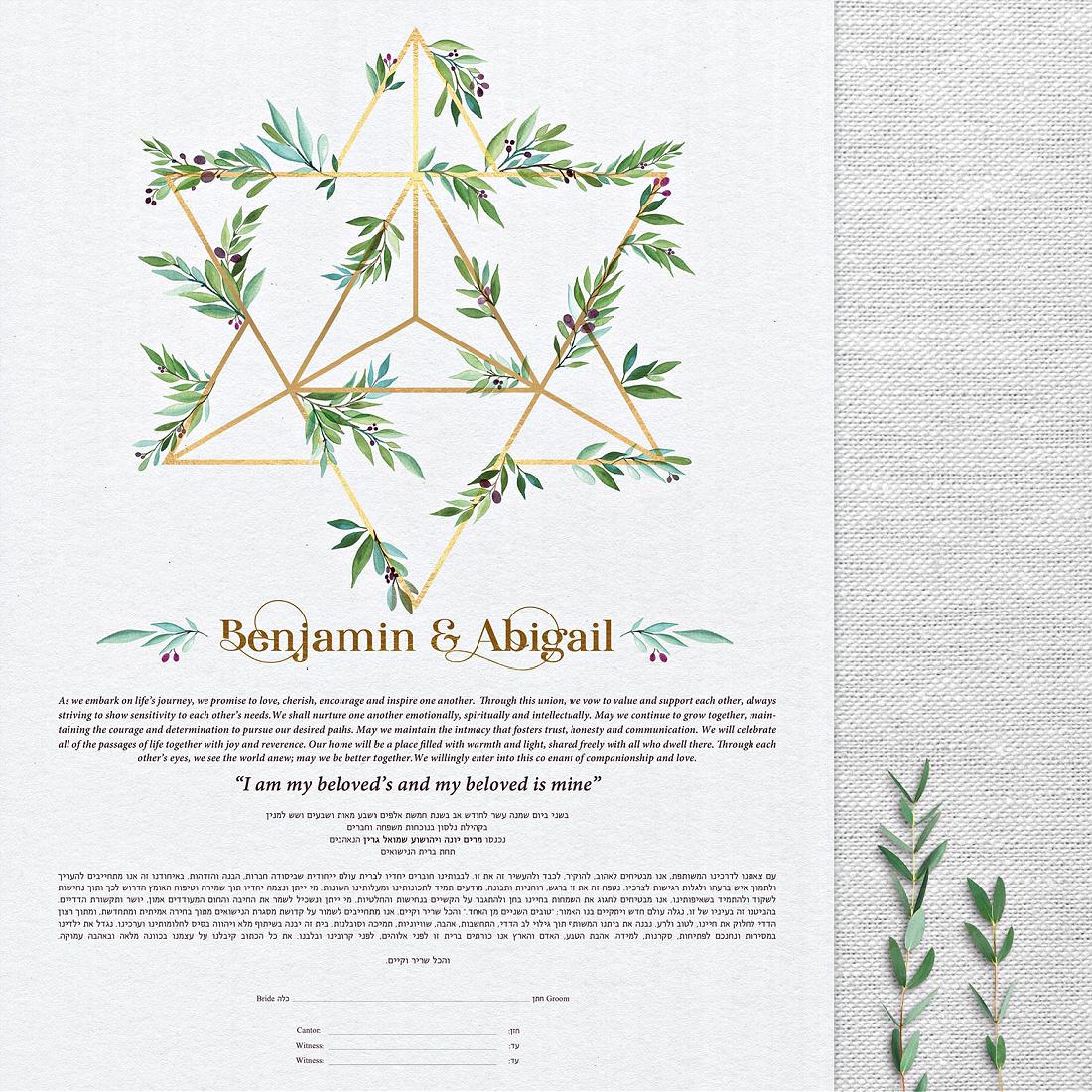 STAR OF OLIVE KETUBAH